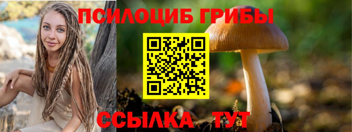 Изобильный  Галлюциногенные грибы MAGIC MUSHROOMS  Вход с VPN 